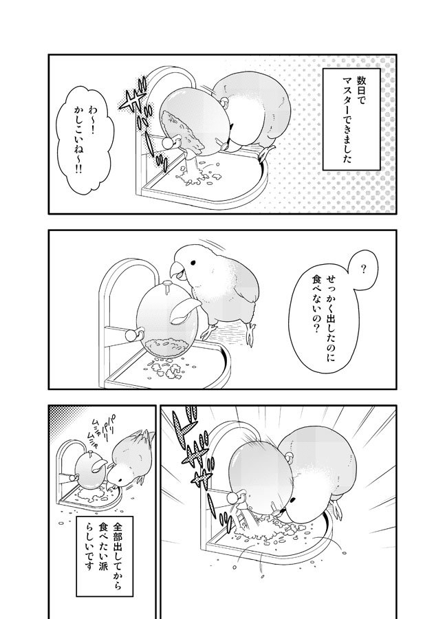 知育バードトイを買い与えたときインコが可愛いかったってだけの漫画描きました 