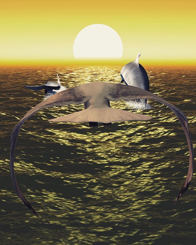 Ashleywilkie1's tweet photo. 5 days to go, before we journey across the ocean with “Ebbs & Flows” @lightuppoole 2019! .
.
.
.
#lightuppoole #projectionmapping #lightfestival #cinema4d #3danimation #3d #motiongraphics #render #motiondesigner #motiondesign #digitalart #cgi #renderzon… https://t.co/Gjv7C5bmmY https://t.co/9QElsAPSdc
