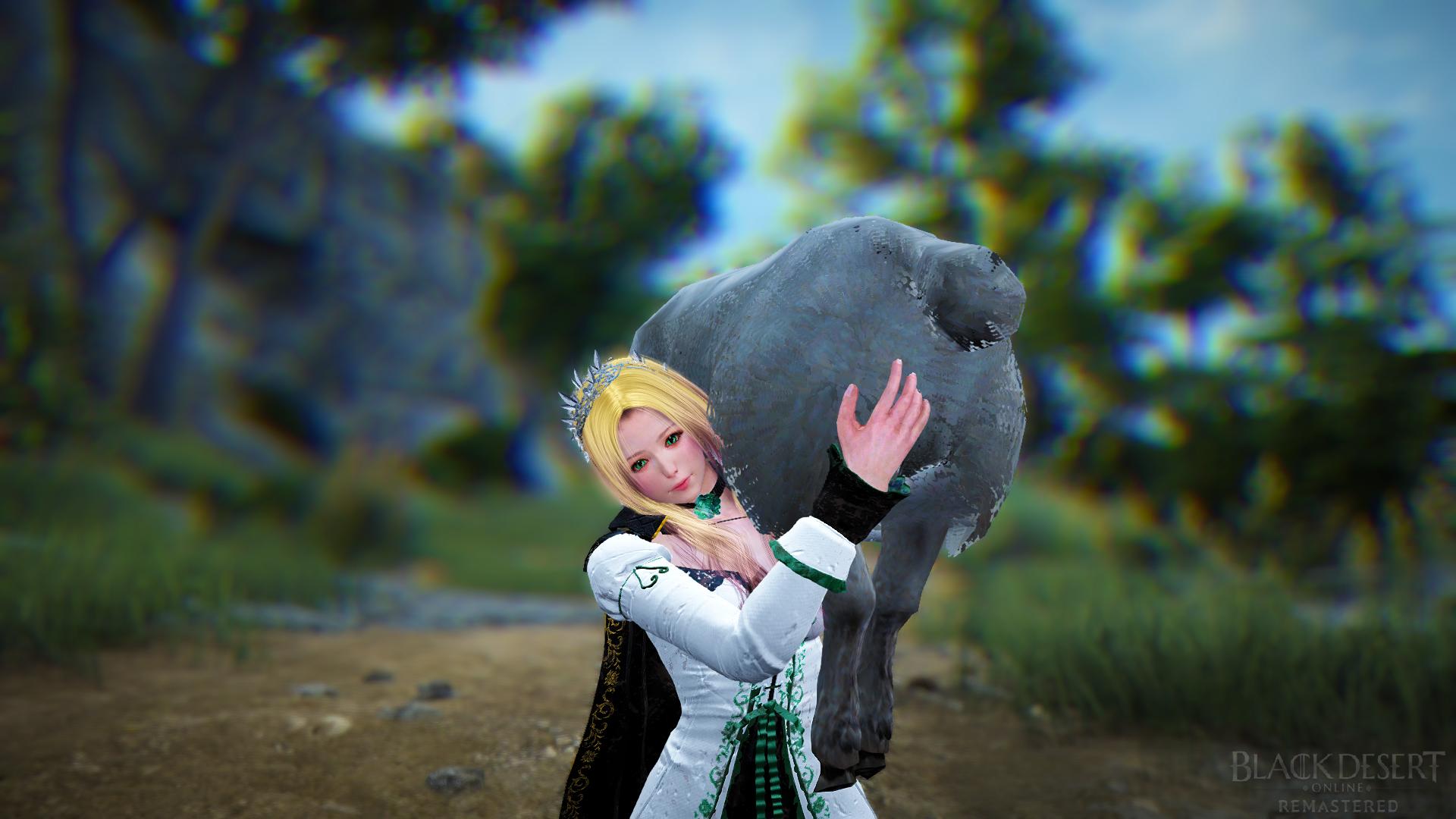 V D Blois Lantana 黒い砂漠 迷子の羊を運んでるのです 黒い砂漠 黒い砂漠ss部