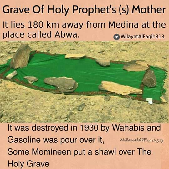Sagopaak's tweet photo. I protest against visit of Barbarian Murderer Ale Saud #CrownPrince MBS over destruction of Ahlebait's Holy Shrines in #SaudiArabia.
#PakistanRejectMbs #MbSNotWelcome
#CrownPrinceinPakistan
#PakSaudiFriendship
#PakSaudiCulturalBonds
#PakSaudiBrotherhood
#crownprincepakistanvisit https://t.co/YELAPidYyn