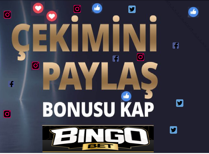 partnerx.bethub.io/imp/bingobet/1…