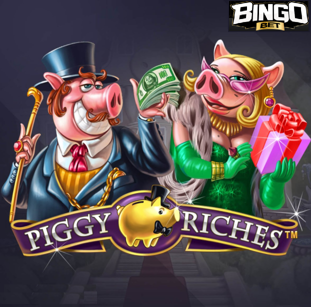 partnerx.bethub.io/imp/bingobet/1…