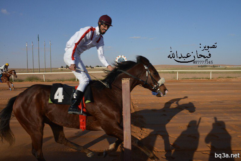 إخبارية بقعاء tweet media
