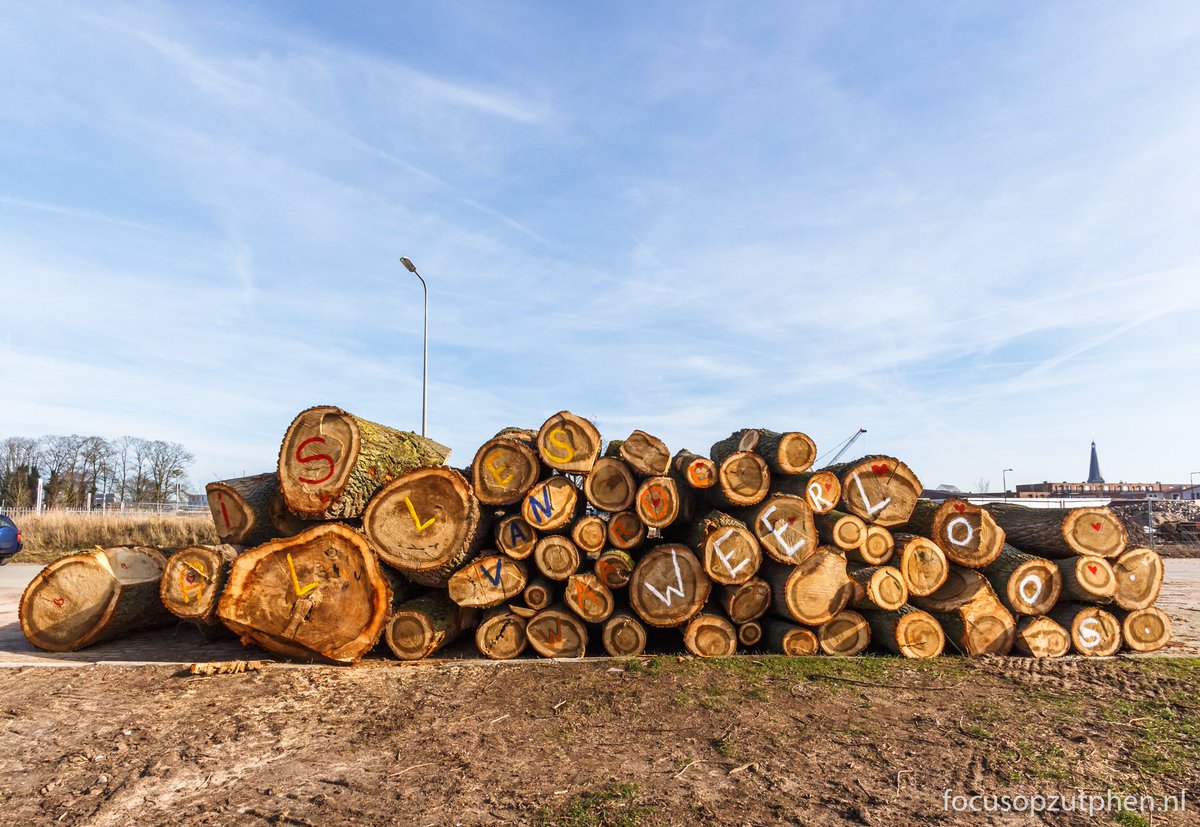 "Alles van waarde is weerloos" (Lucebert). Bomen van de Voormars gekapt.