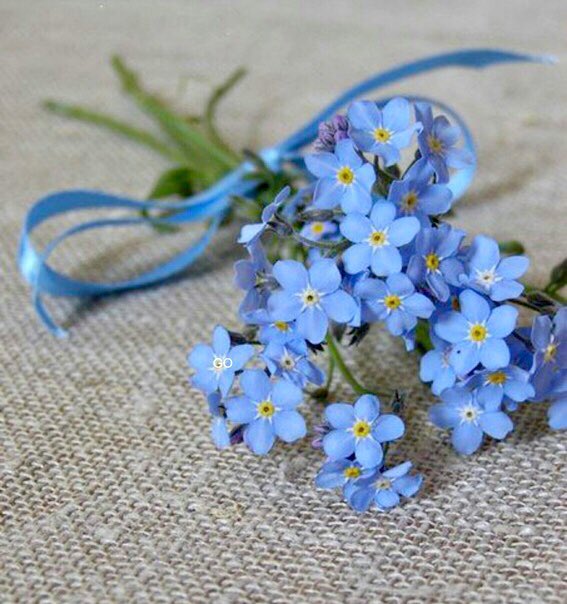 DzniAAVWsAEIhz1.jpg:large