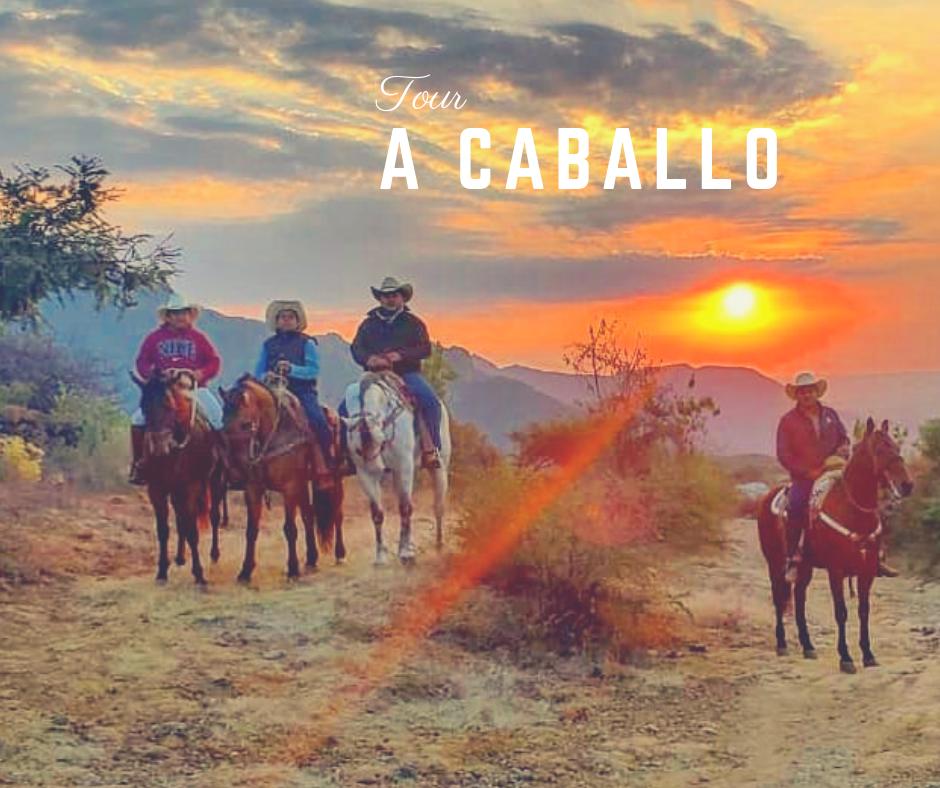 infotepoz's tweet photo. Tours a caballo https://t.co/KYsKXlbNXg