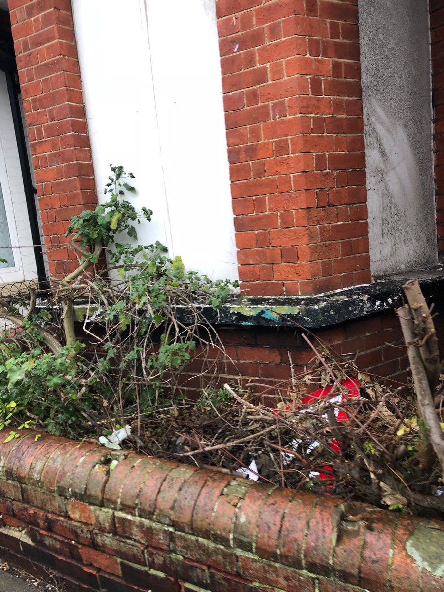 FlockofSeagulls tweet media