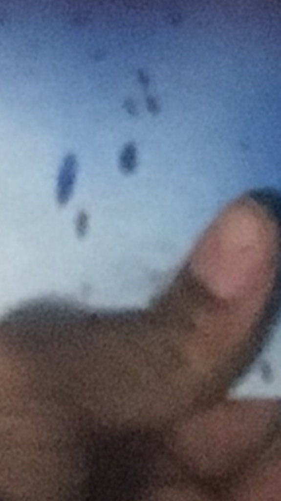 10k_yen's tweet photo. Thumb bend on 10 -- https://t.co/5UpUXTrtL3