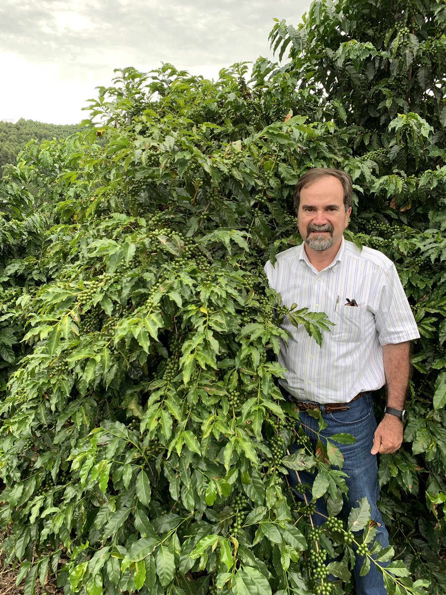 In Brazil, checking this crop’s development! Looking good !