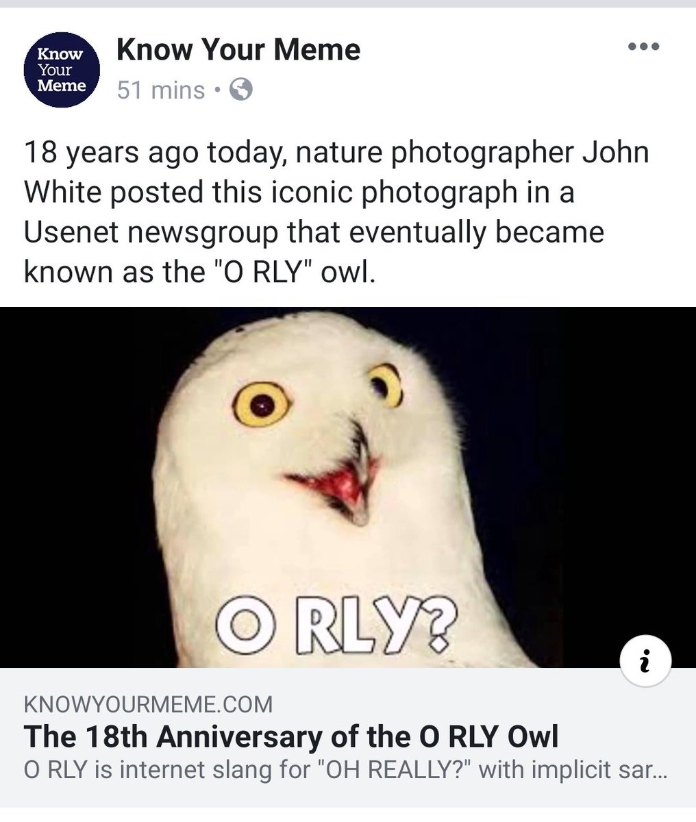 oh really meme owl