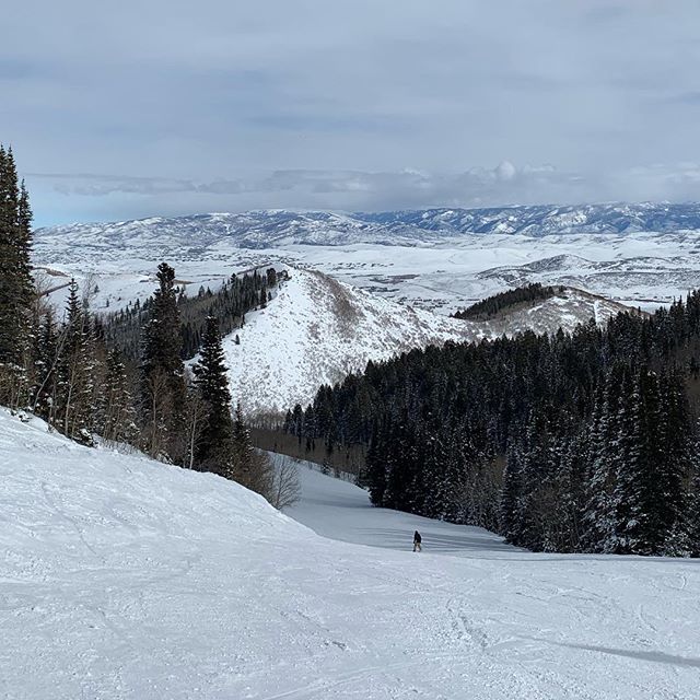 CallamariArt's tweet photo. Fresh powder in the Canyons. #utah #skiing #canyons #wintersports https://t.co/JjuMWrUfwS https://t.co/8YI96gHVjH