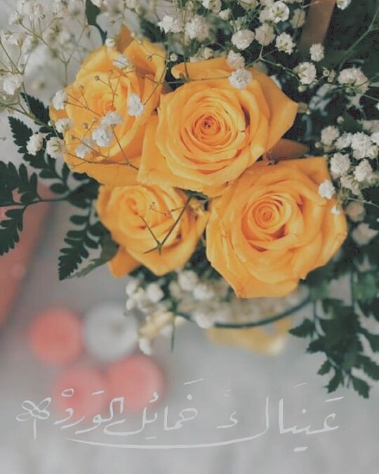 Amal🌸 (@a_amal__) on Twitter photo 