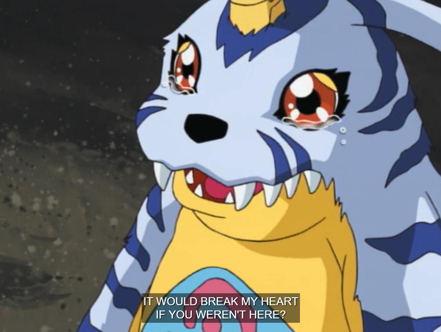 PolarDubs on Twitter: "Gabumon and Matt really have the biggest Tamer to  Partner bond and its adorable. https://t.co/zl6jHj3Tby" / Twitter