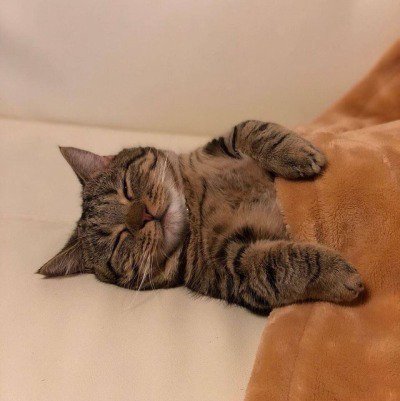 ripmood's tweet photo. https://t.co/LmyGVlItE7