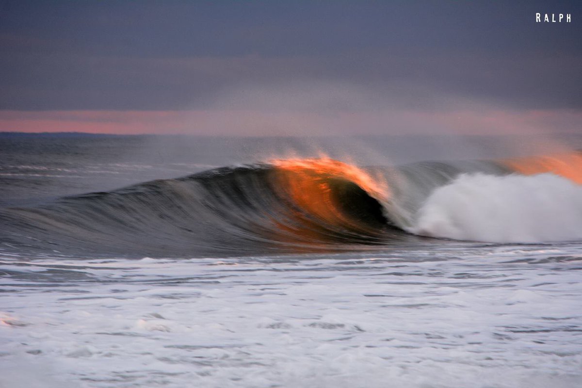 New blog is up ralphspic.com #surffreeordie #ralphspic #newpicsandnewvids #february13thswell