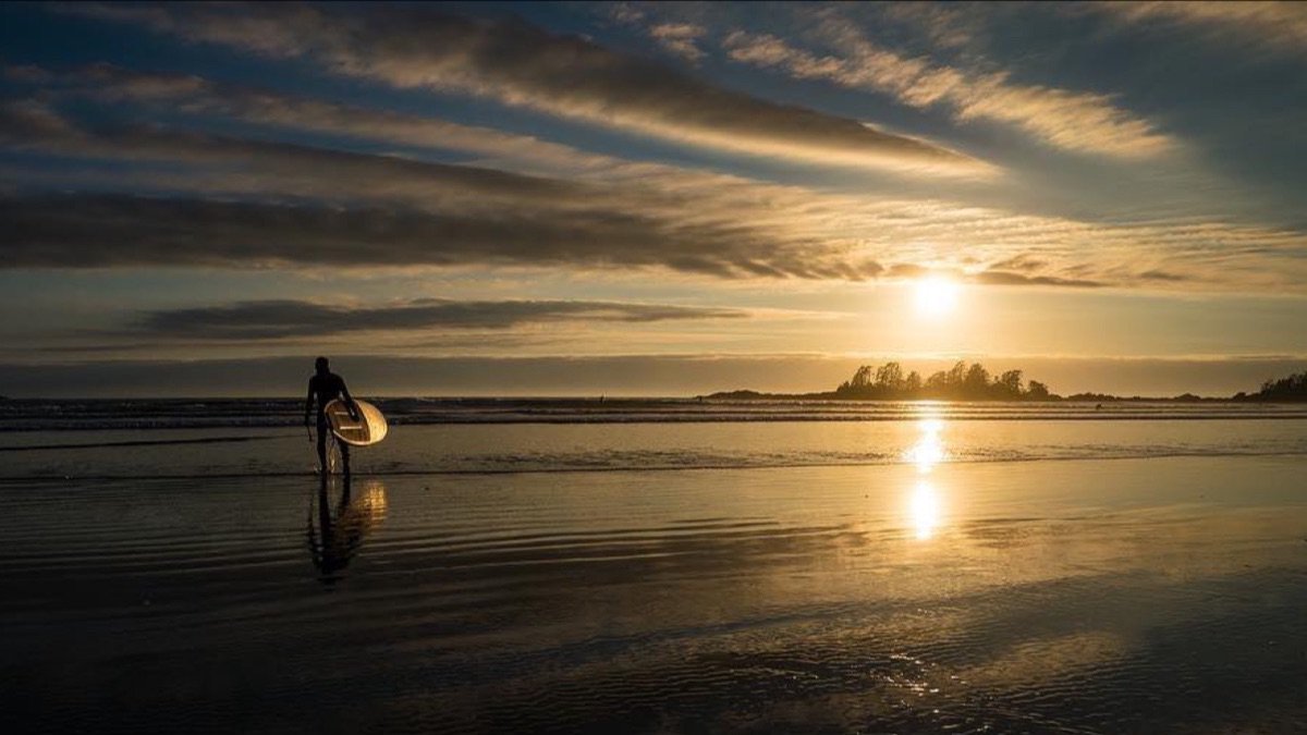 Norman John Hann tweet media