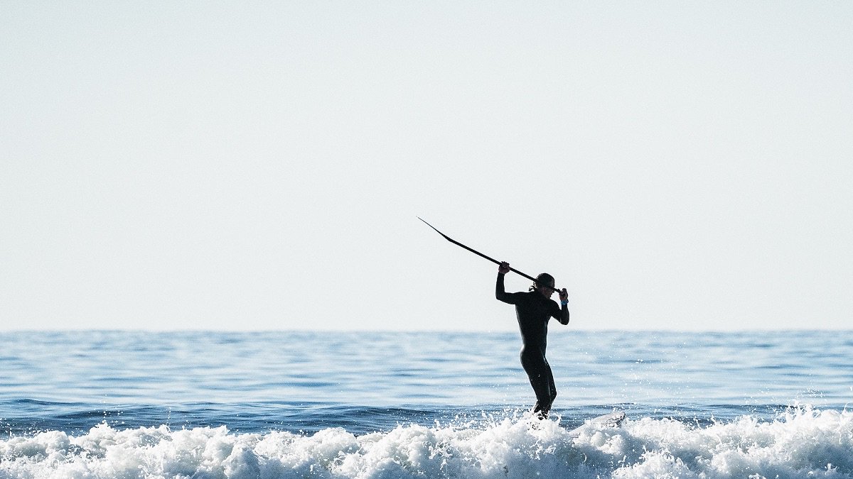 Norman John Hann tweet media