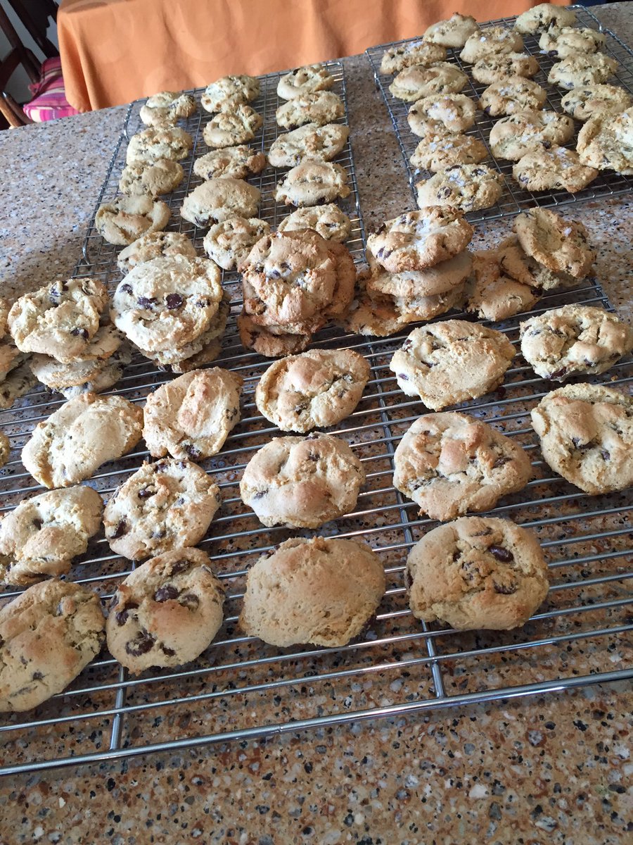 vizslageek's tweet photo. Coming snow calls for dark chocolate chip cookies. #coldready #Denver https://t.co/1kBOOJ6rVs