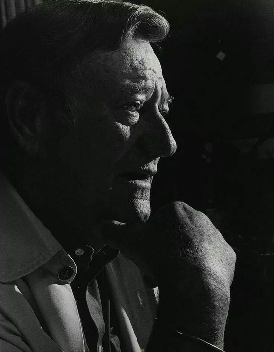 JOHN WAYNE tweet media