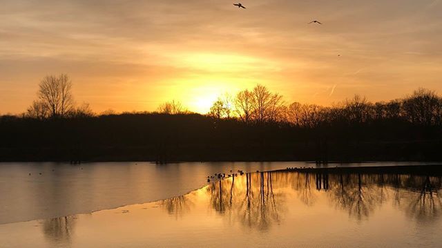 fotografamator's tweet photo. Dziennik 3/2019
Zachód słońca nad rozlewiskiem.
#wroclaw #osobowice #odra #sunset #iphonex #composition https://t.co/PytJrcifZp https://t.co/S7rBzeJgap
