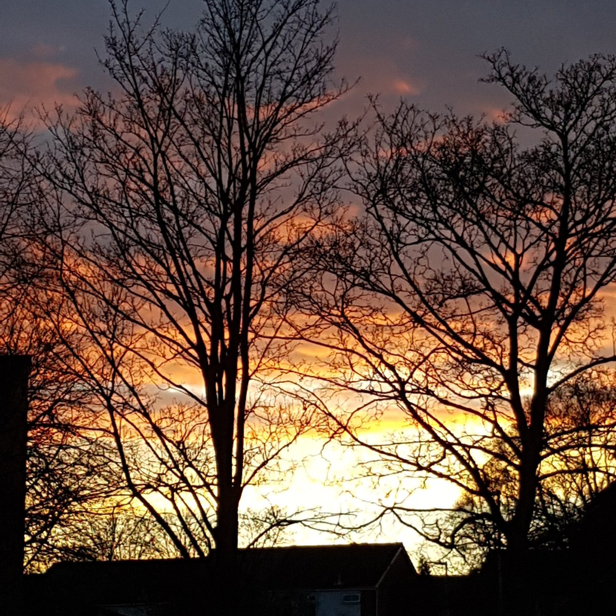 printzoneshrews's tweet photo. Gorgeous sunset this evening in #Telford #shropshirestar #sunset  #shropshire #spring #sky https://t.co/6Iy6RCYqTN