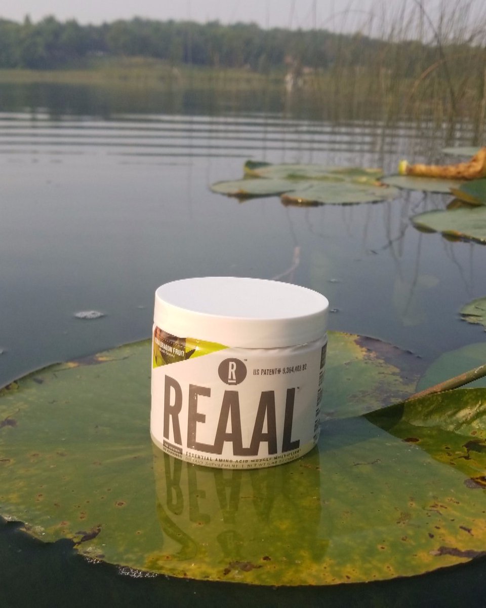 reaalmuscle's tweet photo. #REAALSunday Going on any weekend adventures? Make sure to bring REAAL along the way! ๐ธ๐ฃโโ๏ธ
.
#REAALmuscle #REAALrevolution #BuildMuscleFaster #reaalresults #muscle #recovery #workout #training #supplements #nutrition #igfit #fitspo #itsreaal #fitness #bodygoals #reaalworkout https://t.co/BqXTyrl15j