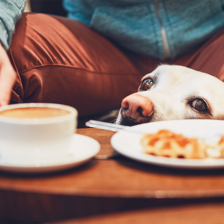 presscabr's tweet photo. Domingo é um ótimo dia para dar aquela pausa e relaxar com uma boa companhia. Com café fica ainda mais gostoso! 😋
#pressca #café #cafe #cafés #cafezinho #cafeina #cafedamanha #cafedatarde #cafesespeciais #coffee #coffeetime #coffeelover #coffeeculture #coffeeoftheday https://t.co/W6UEeBg4Bx