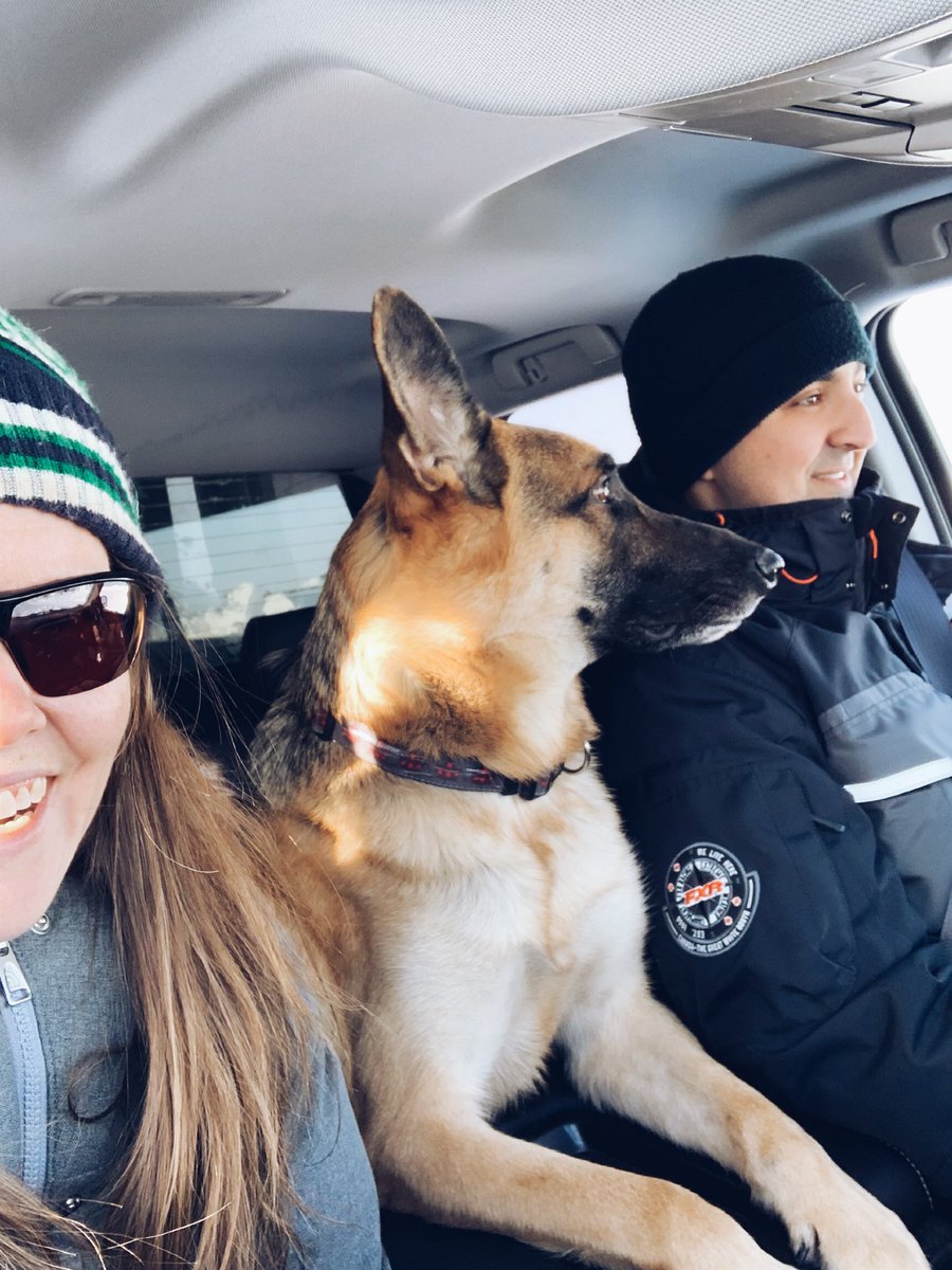 candace_toma's tweet photo. Sunday drive consisting of three adult-sized beings #germanshepherdproblems https://t.co/tvdX9TMkqk
