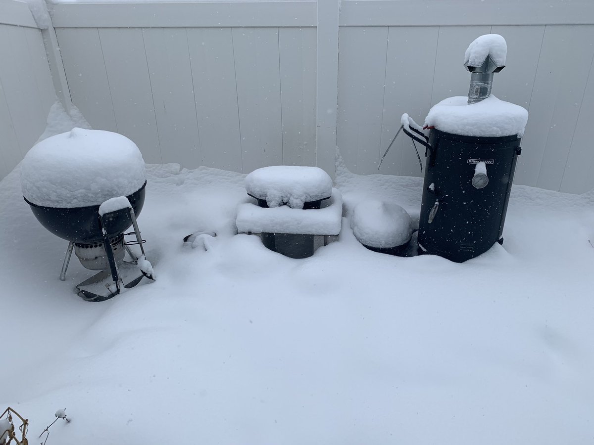 To bbq or to not bbq that’s the question.