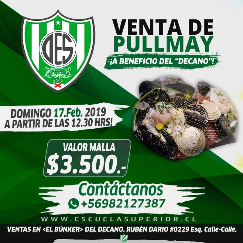CDESuperior's tweet photo. Aun nos quedan mallas de Pullmay a beneficio de nuestro club. ¡Apoya a Escuelita! #valdiviaCL #VamosDecano ¡RT! https://t.co/7paXDHQSeX