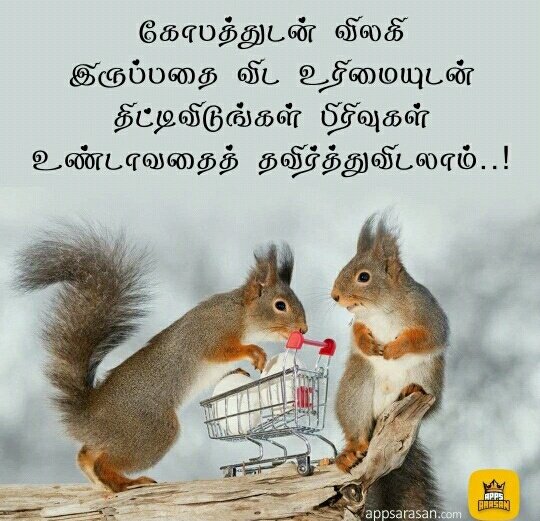 LaxLachu's tweet photo. https://t.co/qlFUqArFa7