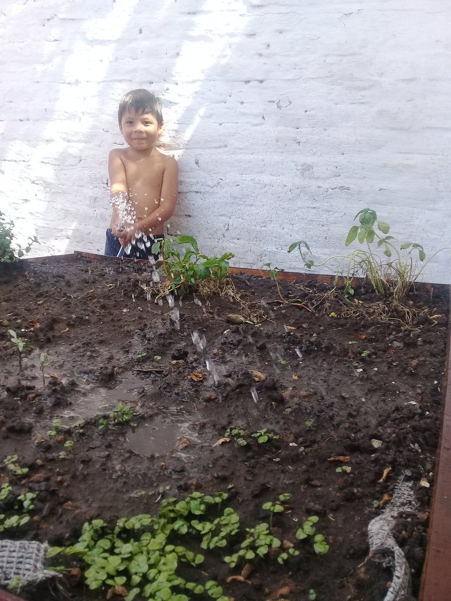 Soledad77800554's tweet image. "ENTRE SEMBRAR Y COSECHAR...EXISTE EL REGAR Y ESPERAR"... 🌱😍...Si me preguntan Que es la Felicidad hoy?... "Les digo estos momentos mientras regamos la huertita q hemos hecho juntos, y cada ves q vemos un brotecito nuevo" #FelizDomingo #AmorDelBueno #MiHogar #mividadeotramanera