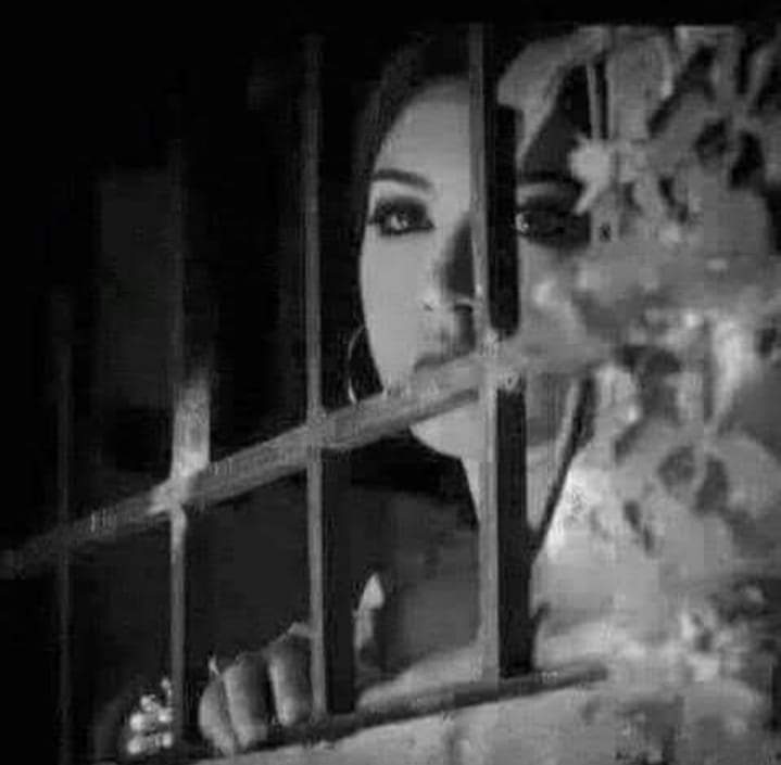 ayadali221's tweet photo. ليتنا كالمطر .......                                                                نسافر مع الغيوم أينما نريد                                               ونسقط ع نوافذ من نحب ❤..... https://t.co/zTPDhKMcZD