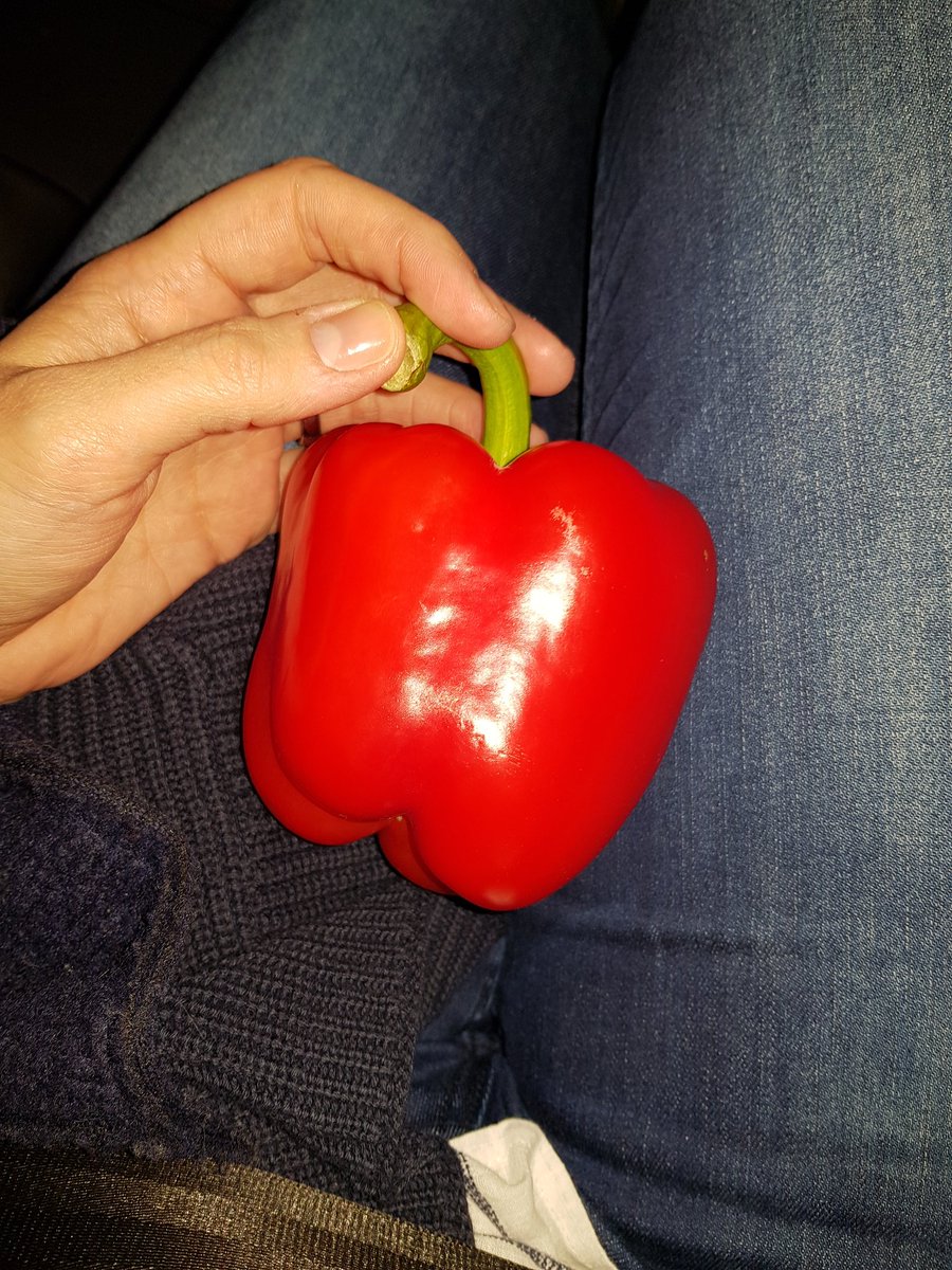 ButterLiebe's tweet photo. Diese Paprika lag verlassen neben einem parkenden Auto.
Sie ist nicht gechipt und ist in einem guten Allgemeimzustand. 

Kennt jemand diese Paprika?

Gerne RT wegen Reichweite. https://t.co/4E2aiOyBPL