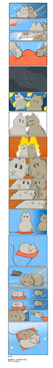 고양이와방석 
