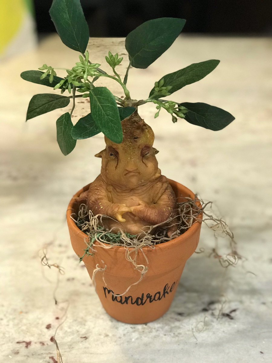VincentVinsight's tweet photo. Every witch's hut needs a mandrake root. soo I made myself one. Didn't capture the sleepy scowl as much as I would have liked to in the picture but boy is it there in person..best to walk quietly. #madrake #sculpey #sculpture #witchcraft https://t.co/TIMVaJW4BP