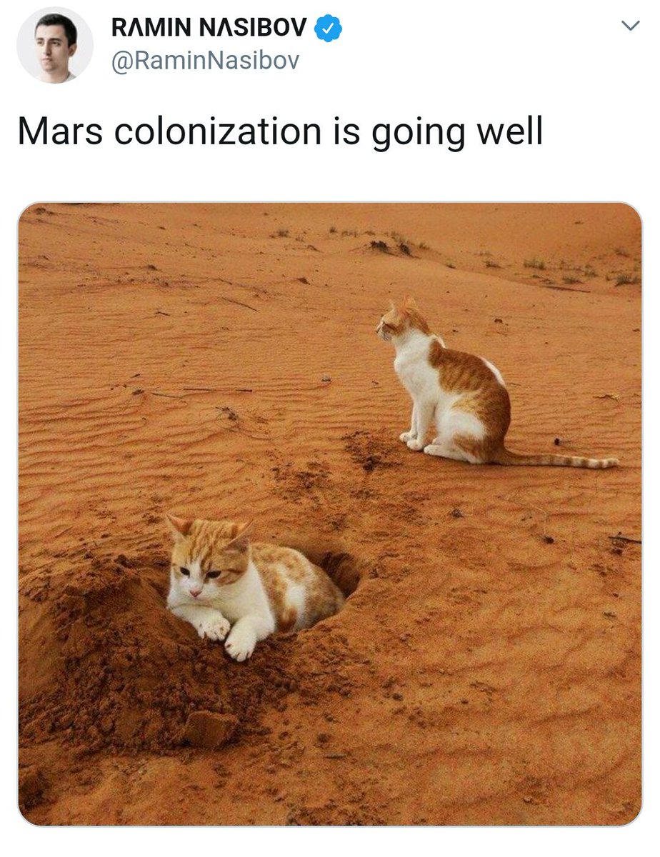 Mbeylergil's tweet photo. Maalesef hayır.
Bu fotoğrafın @NASA'nın Mars'taki keşif aracı #InSight tarafından çekidiği söylense de, #CatLobby baskısıyla NASA bunu doğrulamaktan çekiniyor. Oysa ünlü dijital sanatçı @RaminNasibov bunun Mars'taki 'sözde' kedi kolonisine ait olduğunu korkusuzca dile getirmişti. https://t.co/S5gwdEdijI