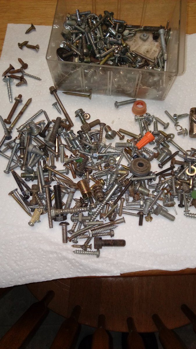 iluvcats44's tweet image. Like looking for the proverbial #needleinthehaystack