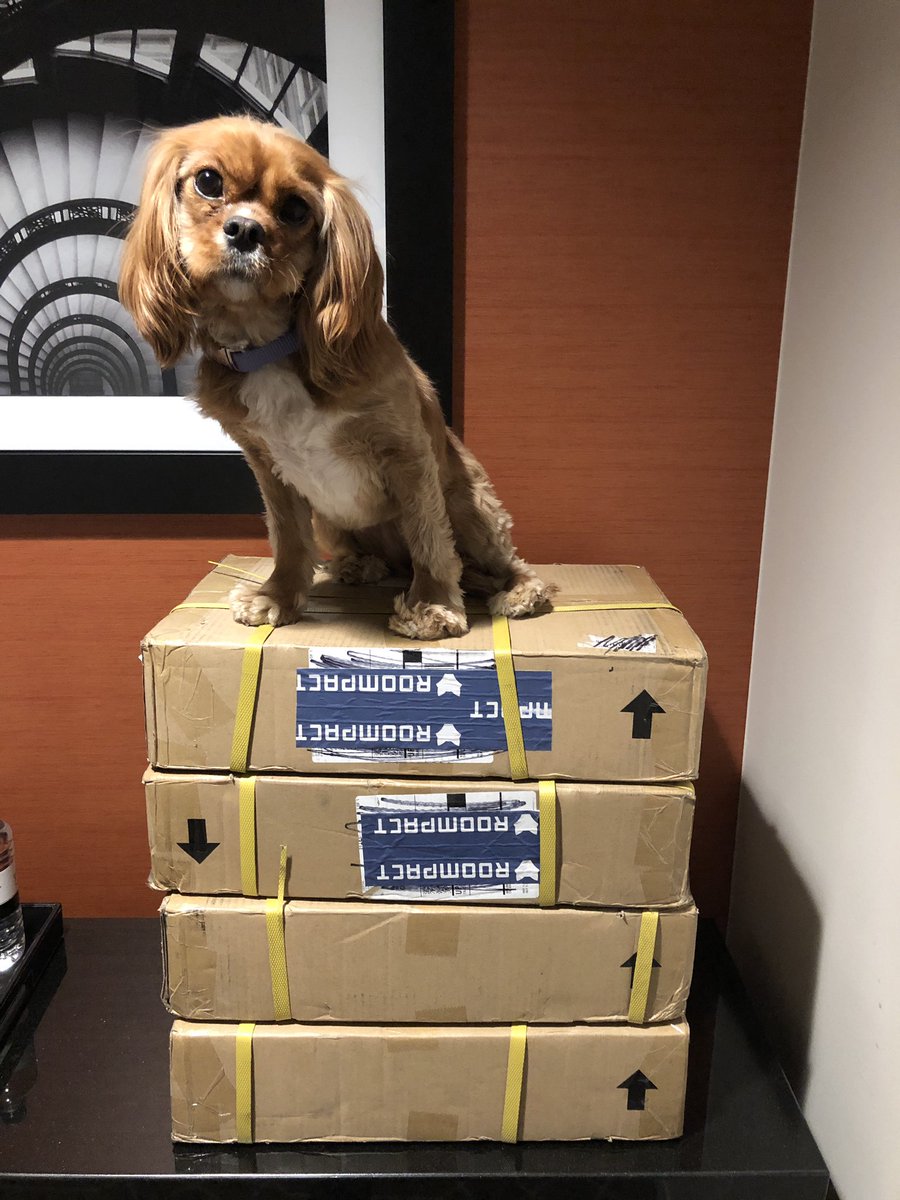 Roompact's tweet photo. We made it to OKC for #swacuho! Check your registration bag for a copy of our latest book. If you didn’t get one, we’ll have a few extra copies at our booth in the exhibit hall. 😉 See y’all soon! https://t.co/hJJUH9UQ5O
