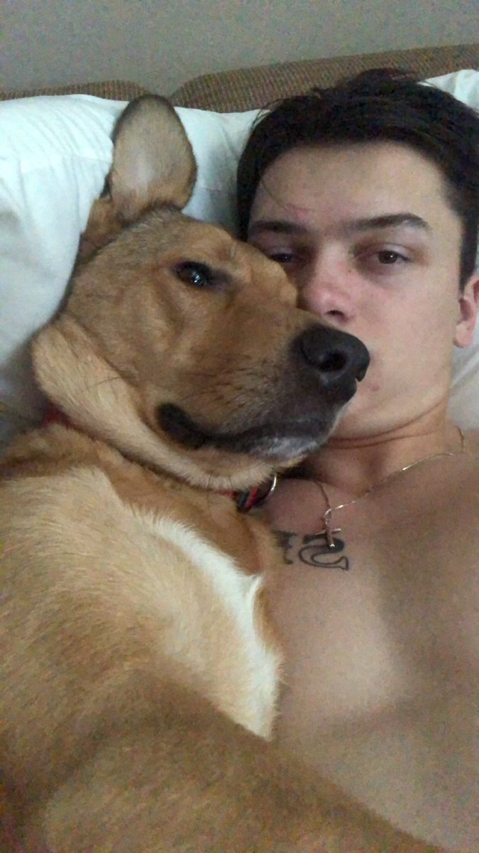 collinforeman11's tweet photo. missed the anniversary but 2/9/19 marked 2 years since i’ve had Zoey 😭😍 loml https://t.co/0dWddjZrd9