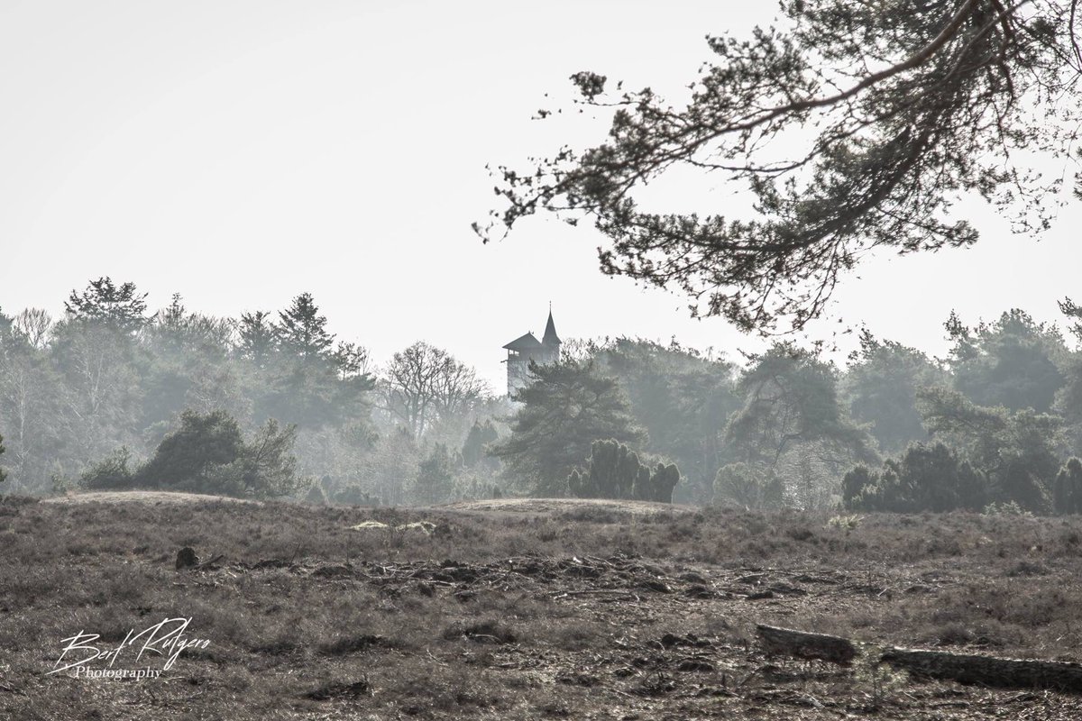 Prachtig stuk natuurgebied..........
De Palthetoren op de Haarlerberg.