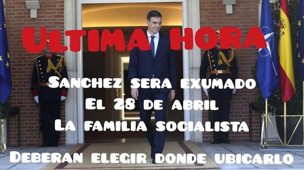 Mazzinguerzett1's tweet photo. Adiós Pedrito. https://t.co/hbUQWofxWm