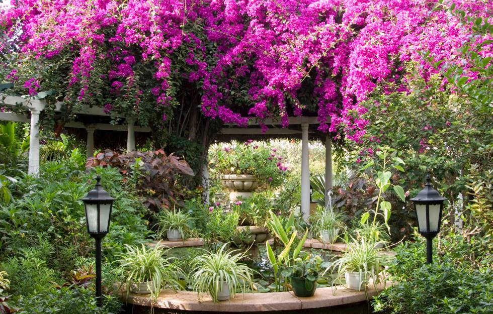 Sudoin_'s tweet photo. Violet Garden.
#SunshineHobiDay
#colorlife
#colorviolet https://t.co/YB1qhxDbTF