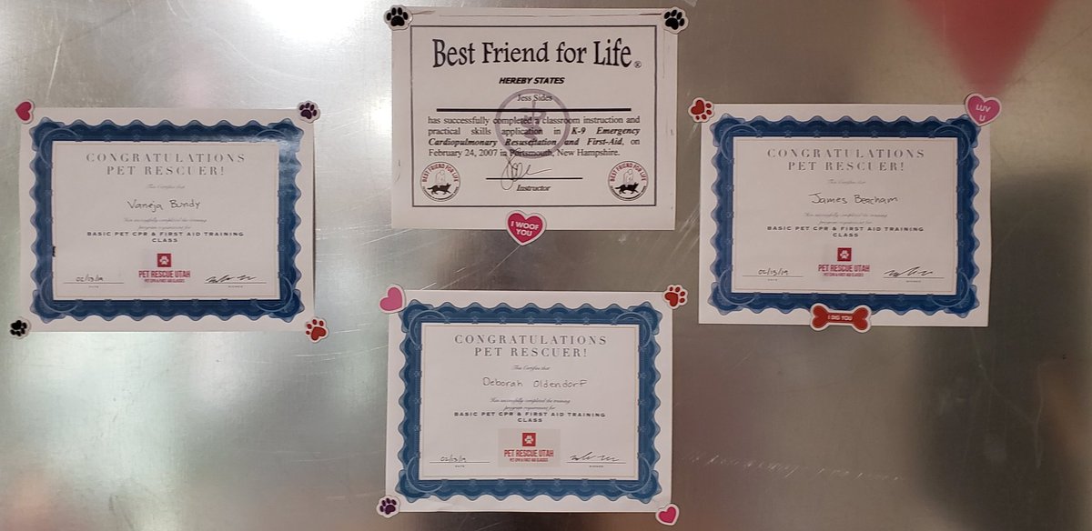 BednBiscuits2's tweet photo. Thank you @petrescueutah for the amazing pet CPR class. #petcpr #bednbiscuitsstgeorge https://t.co/dOW0C187Bw