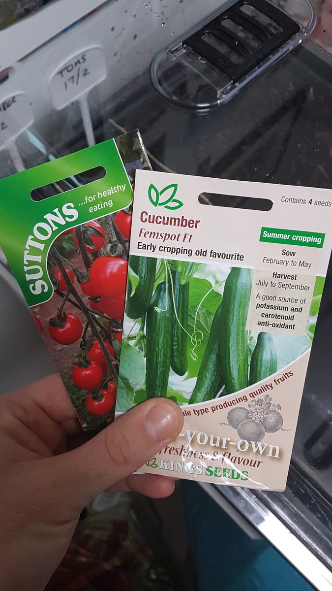 ForkingClueless's tweet photo. 2019 Up and running.... #NoForkingIdea #ForkingClueless #GreenhouseGrowing #Propagator https://t.co/eIigPRYYan