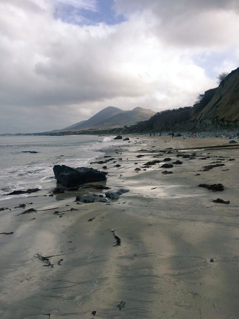 Caroline Mahon tweet media