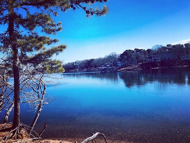 frankruel2's tweet image. Beautiful blue sky day today to hike alongside the Bass River Dennis Massachusetts with @lucycapecod  #capecod #igcapecod #newengland #capecodwinter #dogwalk #dogwalking #bluesky #reflection #igerscapecod bit.ly/2V3RhO6