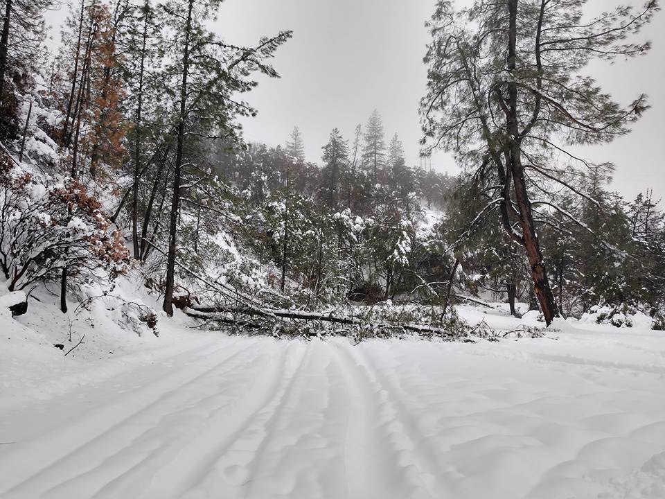 ActionNewsNow's tweet image. Whiskeytown has reopened after recent storm closures. Links included to Carr Fire news special and to a story about painting the #Whiskeytown landscape through song. #ShastaCo #TrinityCo actionnewsnow.com/content/news/S…