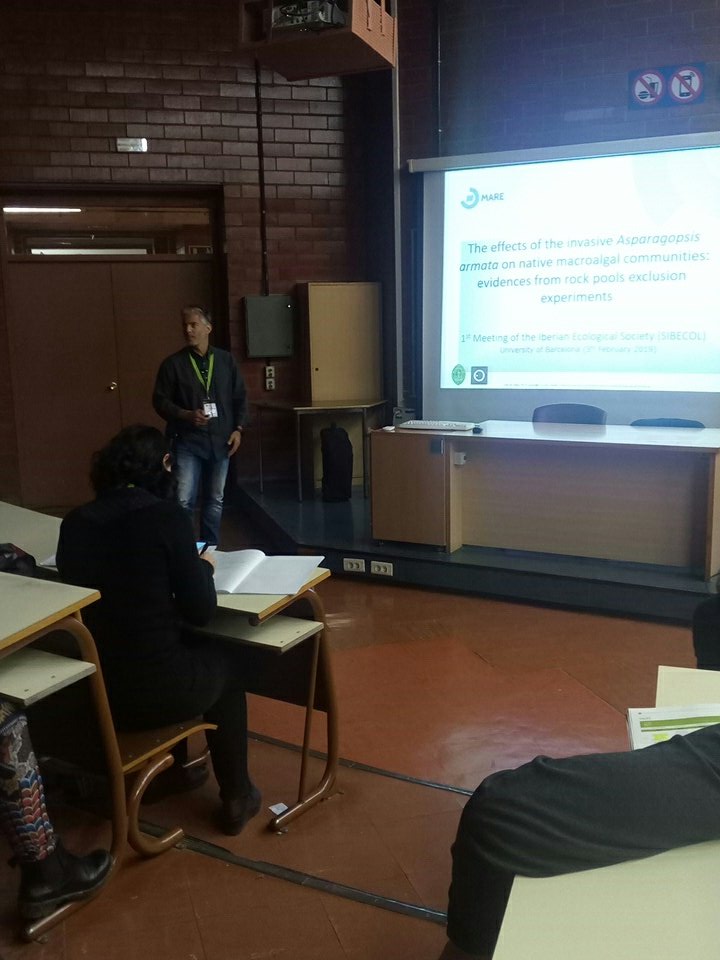 Lemos_lab's tweet photo. @Lemos_lab at the 1st Iberian Ecological Society Meeting &amp; XIV AEET Meeting, Spain.

The effects of the invasive Asparagopsis armata on native macroalgal communities: evidences from rock pools exclusion experiments

@projectAMALIA @EU_MARE #marineinvadersproject @ESTM_IPL #MARE https://t.co/qldPb6dDgp