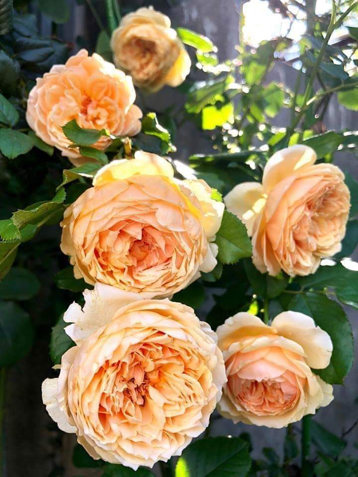 ali93054288's tweet photo. https://t.co/cvJSeCNrYH